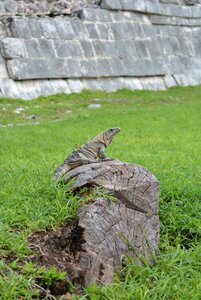 Kukulcan chichen itza