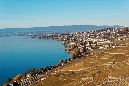 Switzerland vineyards lavaux photo