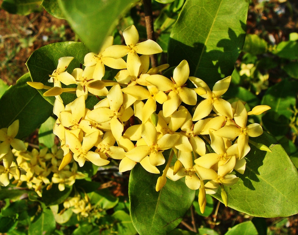 Karwar karnataka india