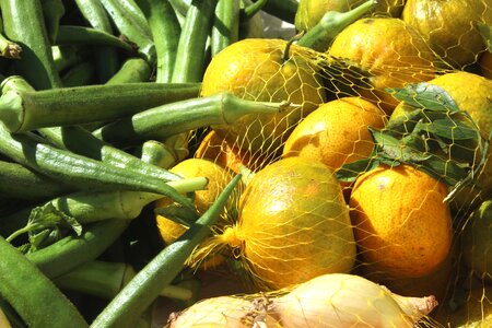 Fair okra tangerine