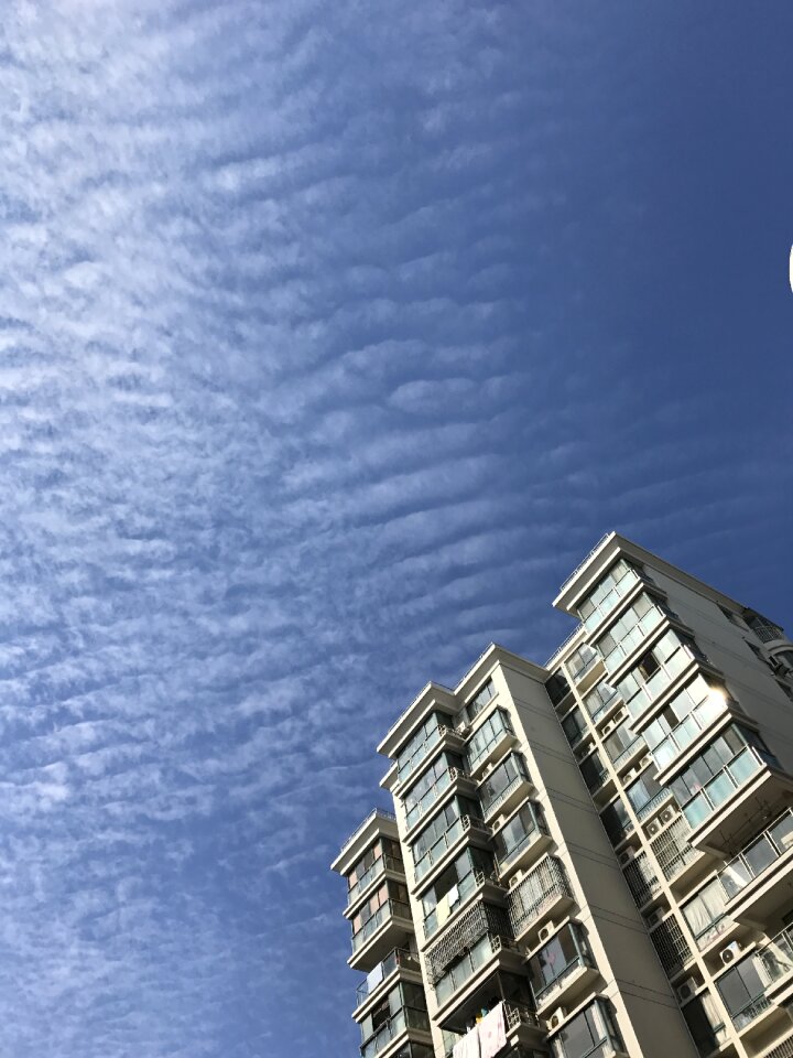 Blue pure building