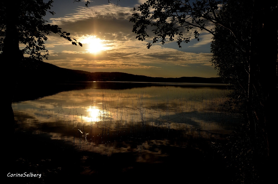 Lake evening landscapes