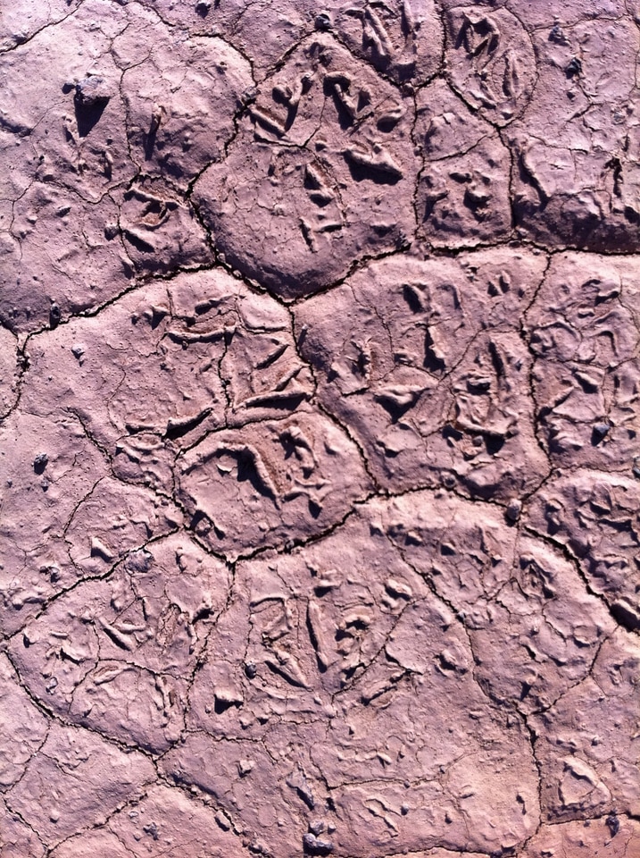 Pattern soil dirt