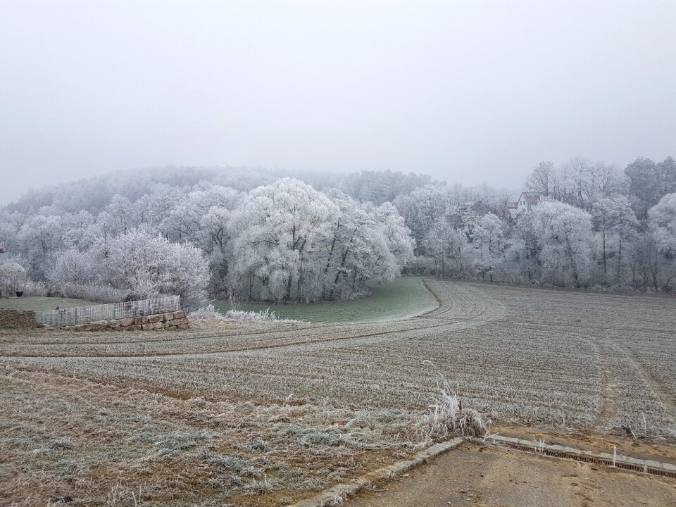 Landscape hoarfrost frost