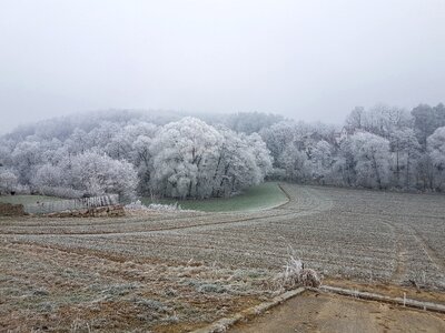 Landscape hoarfrost frost