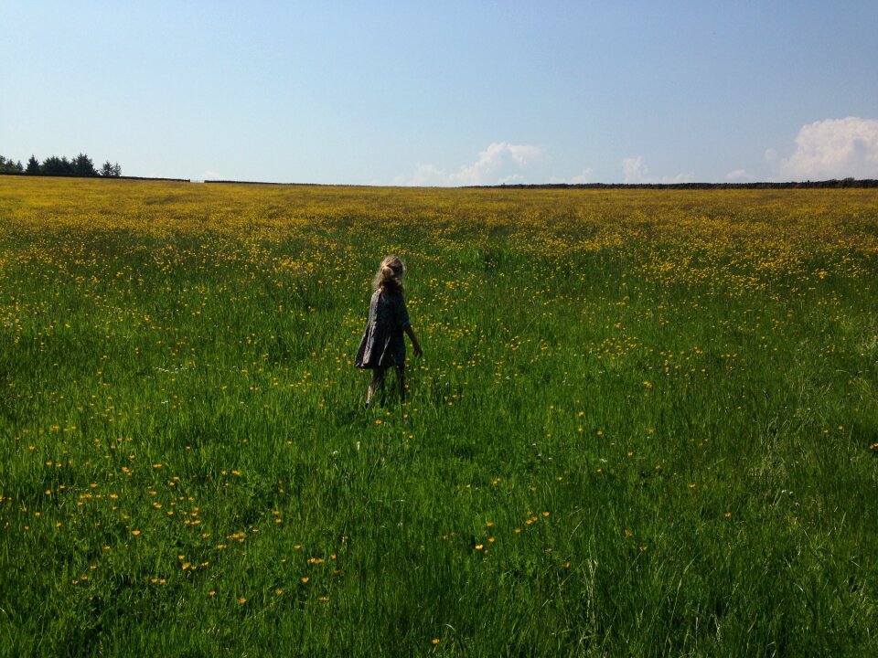 Childhood summer field