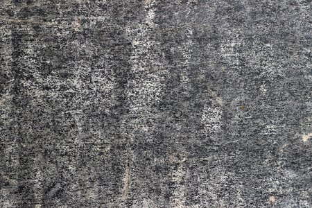 Wood plank texture