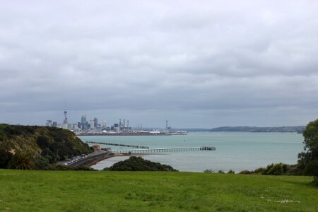 Zealand city landscape photo