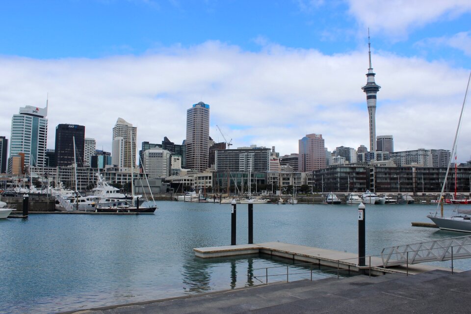 Zealand city landscape