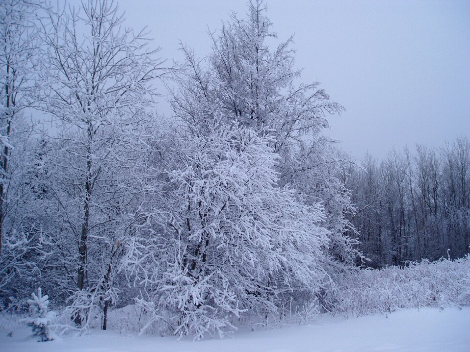 Landscape cold