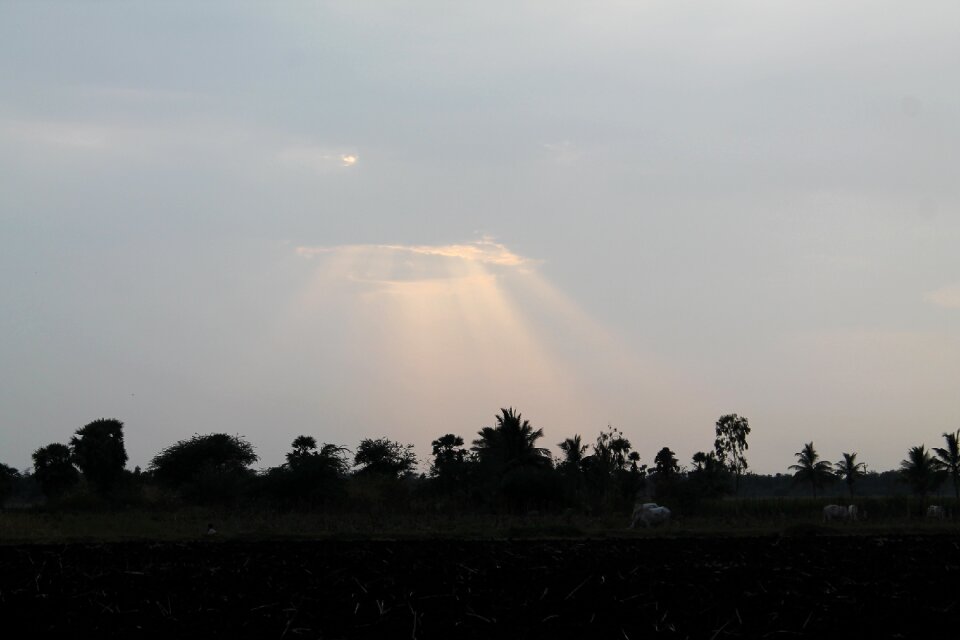 Sunlight sunny sky photo