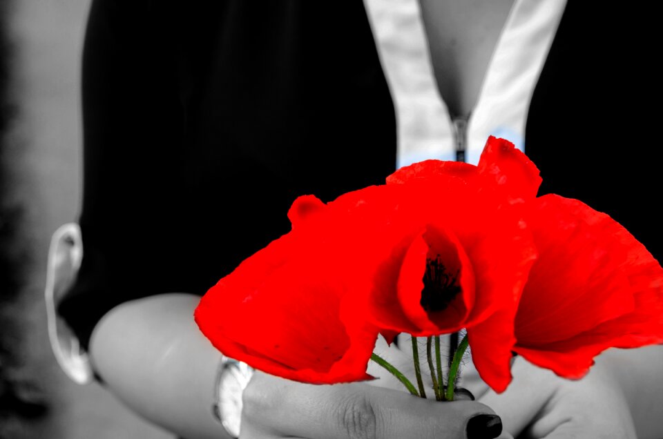 Flower amazing love amazing flower