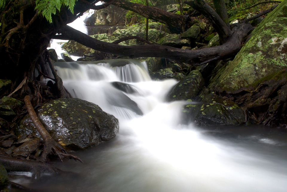 Stream nature water photo