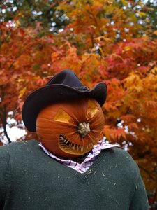 Pumpkin halloween