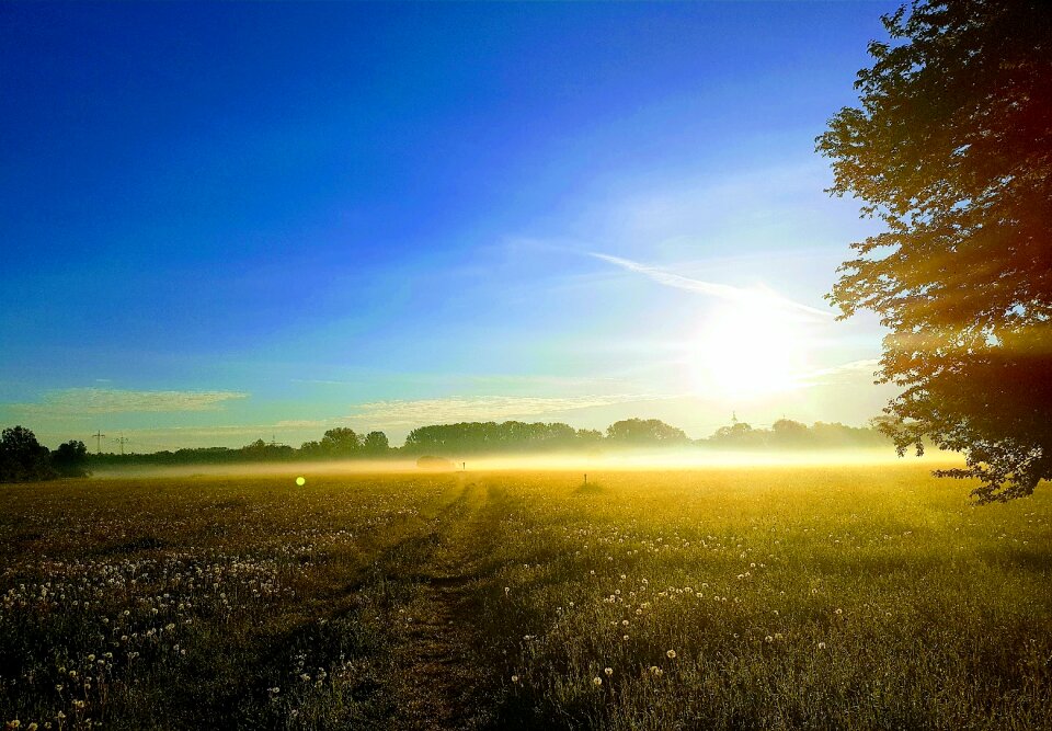 Landscape mood morning