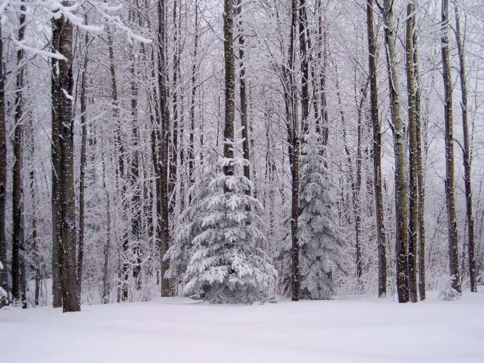 Landscape cold