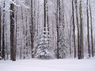 Landscape cold