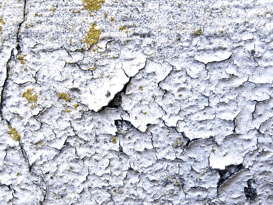 Old paint peel plaster