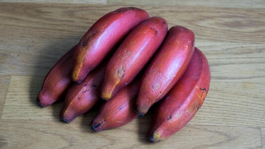 Fresh healthy organic