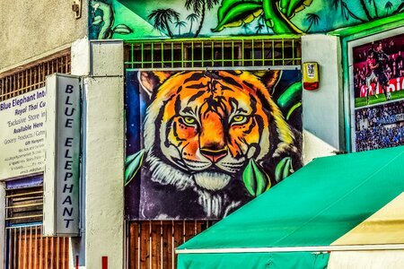 Graffiti tiger city