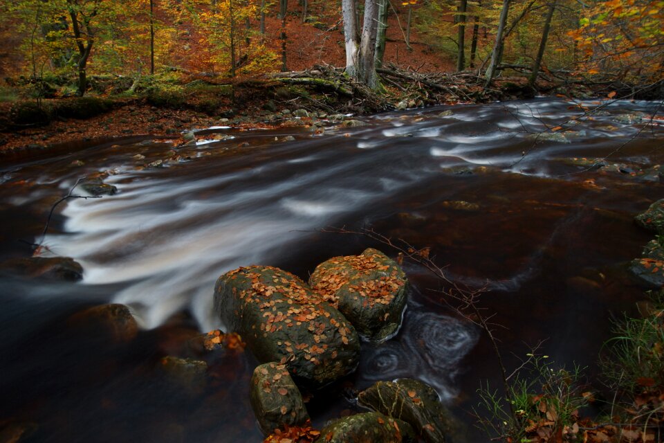 River ardennes autumn