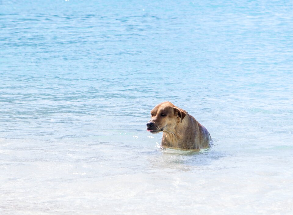 Water ocean