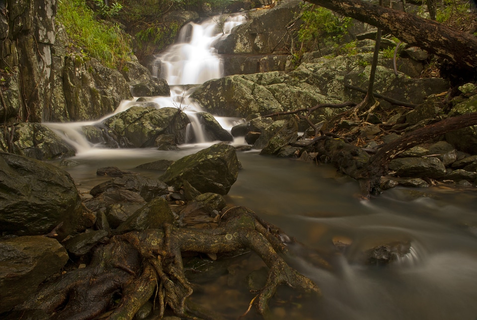 Stream nature water photo