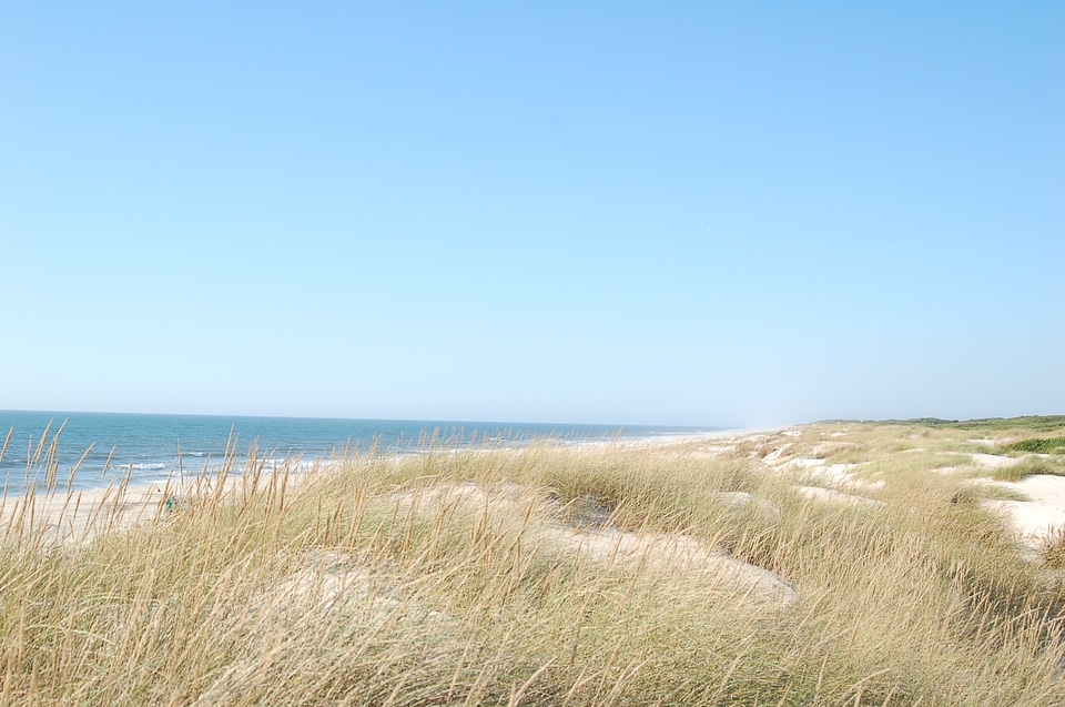 Sea beach loneliness photo