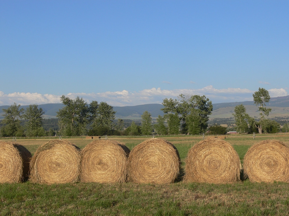 Field agriculture agricultural