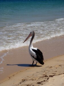 Australia island photo