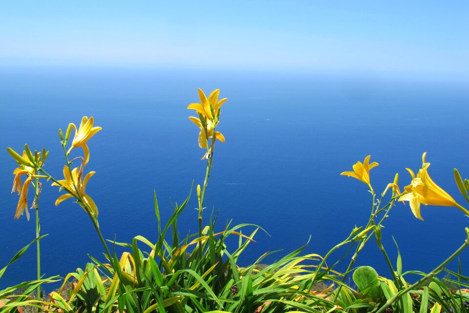 Calheta madeira yellow and blue