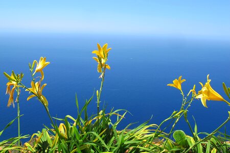 Calheta madeira yellow and blue
