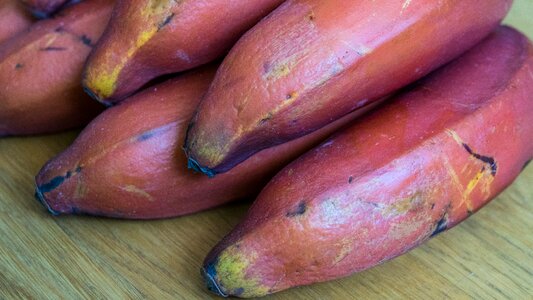 Fresh healthy organic