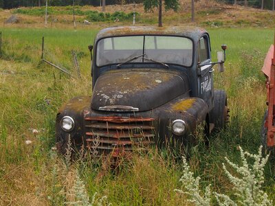 Rusty scrap summer