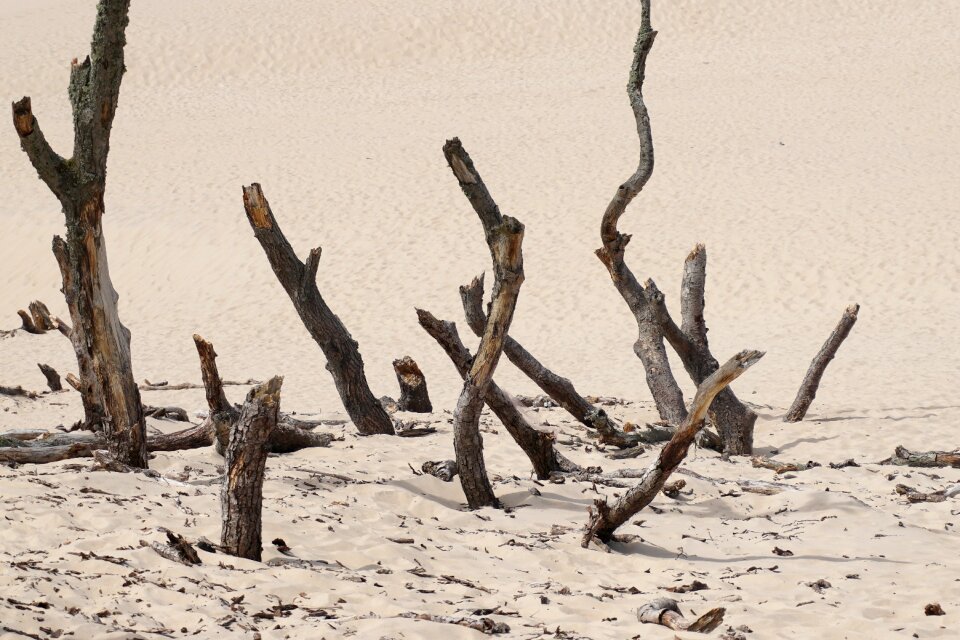 Landscape panorama dune landscape