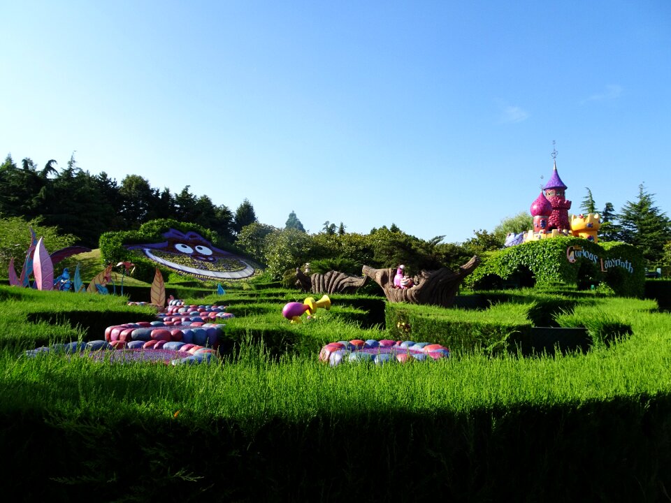 Alicia garden country of the wonders