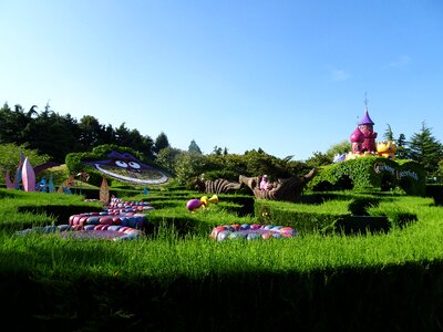 Alicia garden country of the wonders