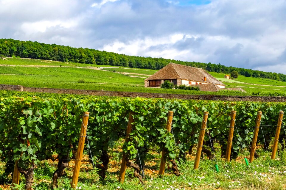 Home summer bourgogne