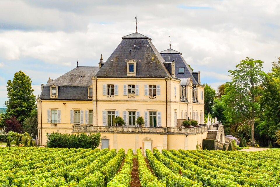 Property vine wine
