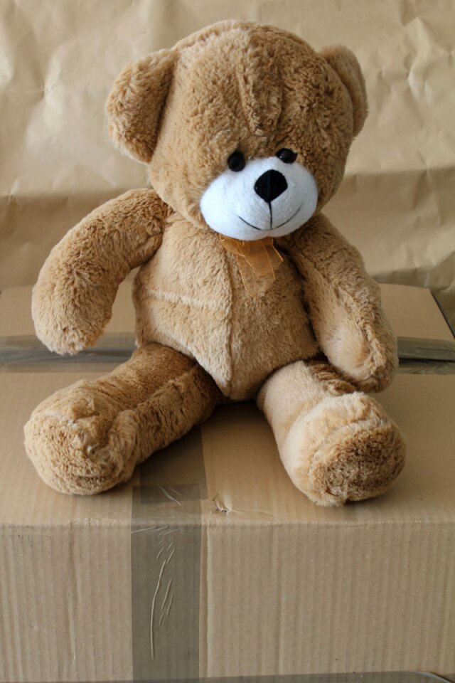 Cute fur childhood