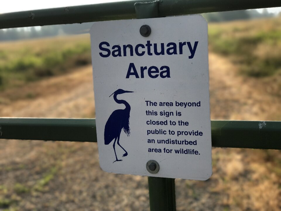 Animal park endangered