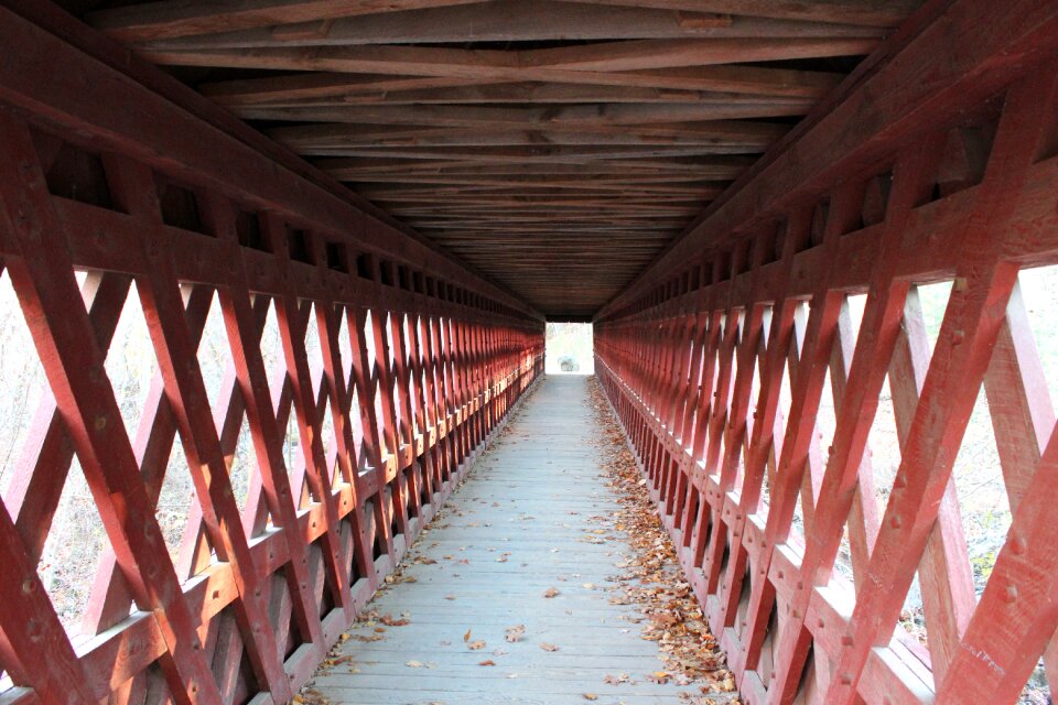 Woods bridge rustic
