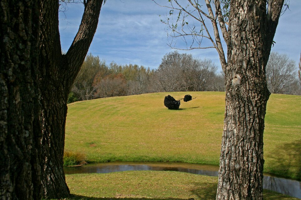 Lawn green trees