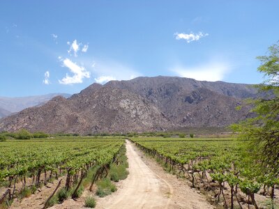 Cafayate salta argentina photo