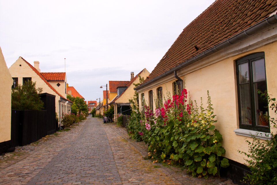 Street alley flowers