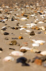 Beach nature stones photo