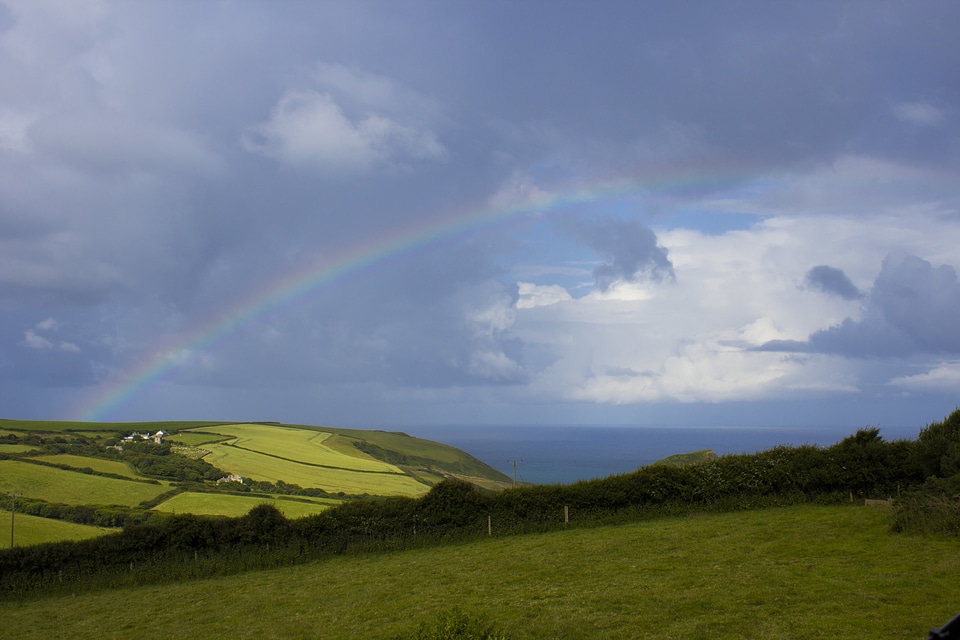 Summer coast nature