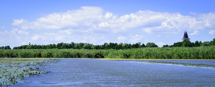 Blue summer nature photo