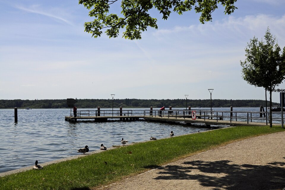 Summer landscape bank