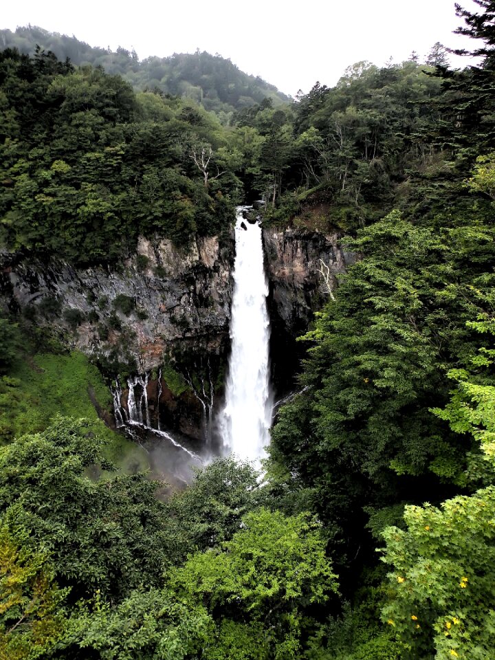 Water forest mountains